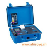 M650-便携式烟气分析仪